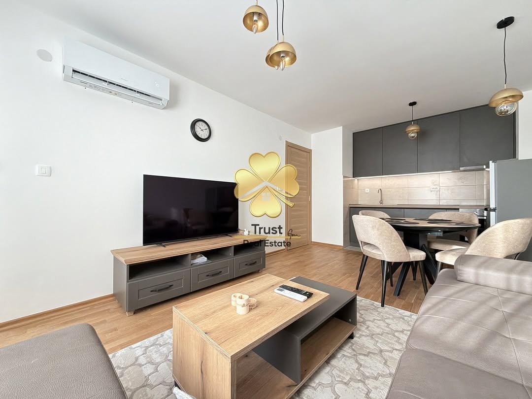 House for rent in Stari Aerodrom, Podgorica — photo 5
