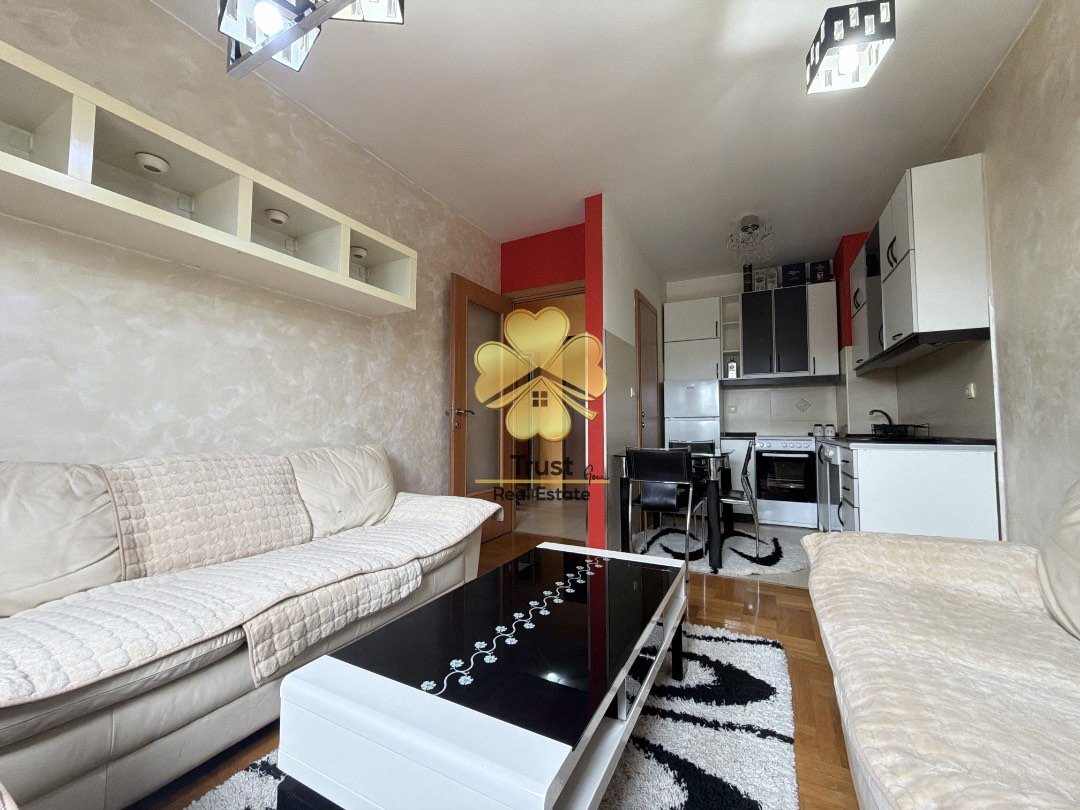House for rent in Stari Aerodrom, Podgorica — photo 2